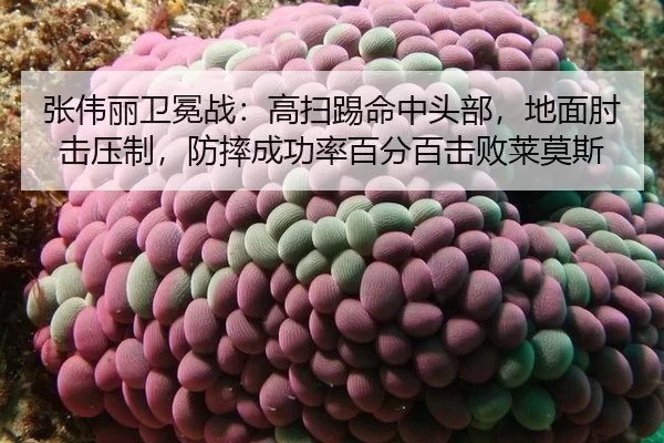 张伟丽卫冕战：高扫踢命中头部，地面肘击压制，防摔成功率百分百击败莱莫斯